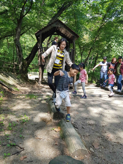 아이들이 만나보기 힘든 다양한 생물과 생태 연못의 수중·수변 식물들, 관악구 ‘청룡산 유아숲체험원’