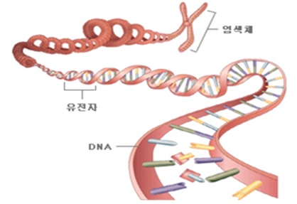 세상을 바꾸는 새로운 기술과 생각 - 당신은 유전자(DNA)에 대하여 얼마나 알고 계십니까?