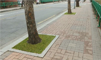 쾌적한 보행환경 개선,가로수 생육환경 개선