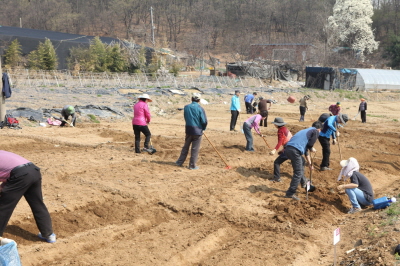 구로구 주말농장 740구획 마련, 23일까지 인터넷접수