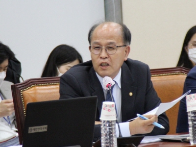 [금융실명법]   금융기관 종사자 금융정보 누설 형사 제재 만으로도 금융거래 비밀 보장 가능