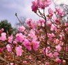 [힐링스토리]   산방(山房)이야기-‘받아들이는 것’에는 어떠한 조건도 붙지 않는다.