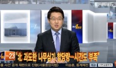 "北 과도한 나무심기 할당량…시간도 부족"