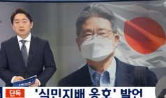 일본은 아시아를 지배해 봤기 때문에 준법정신이 좋다