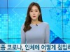 신종 코로나, 인체에 어떻게 침입하나? / YTN 사이언스