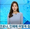 신종 코로나, 인체에 어떻게 침입하나? / YTN 사이언스