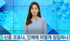 신종 코로나, 인체에 어떻게 침입하나? / YTN 사이언스