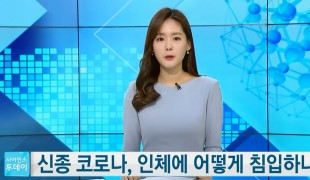 신종 코로나, 인체에 어떻게 침입하나? / YTN 사이언스